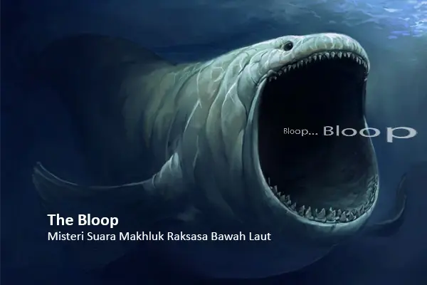 the bloop